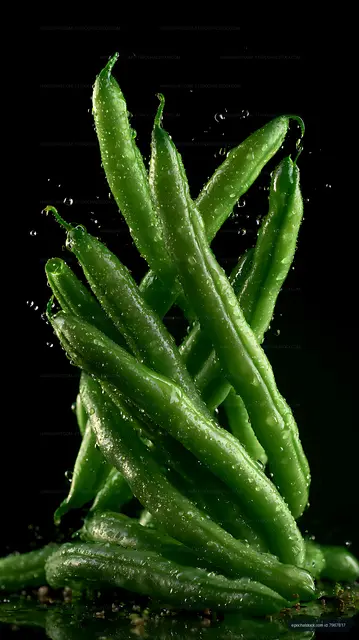 Green aloe leaves with sparkling droplets in dramatic close-up
