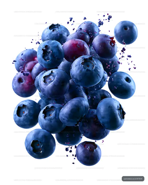 Blueberry cluster isolated on white background