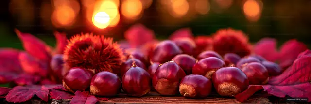 Seasonal chestnut still life with red leaves and soft bokeh