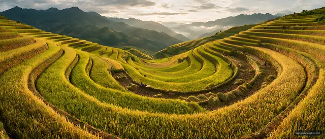 Terraced farmland and mountain ridges in golden evening light