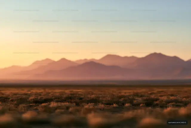 Atmospheric Mountain Range Over a Golden Grassland