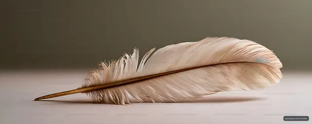 Single white feather with detailed barbs