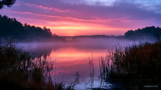 Pink and purple twilight over a reed-framed lake