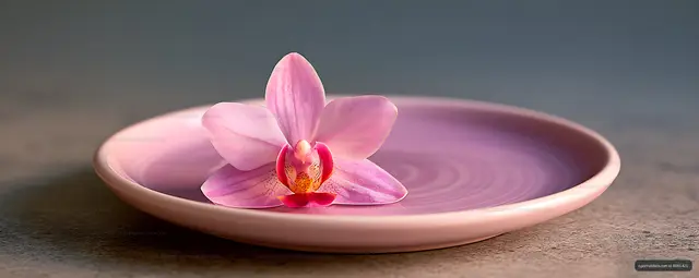 Pink orchid flower floating in a water-filled dish
