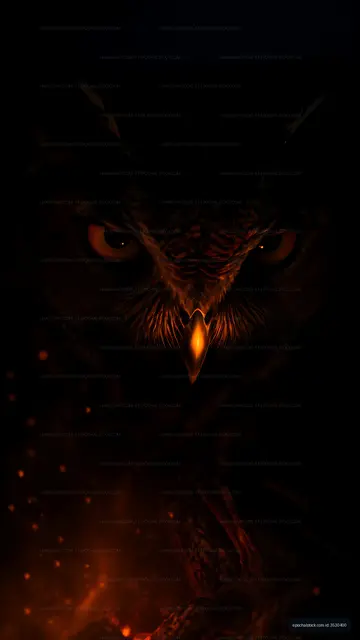 Owl with glowing eyes in dark setting